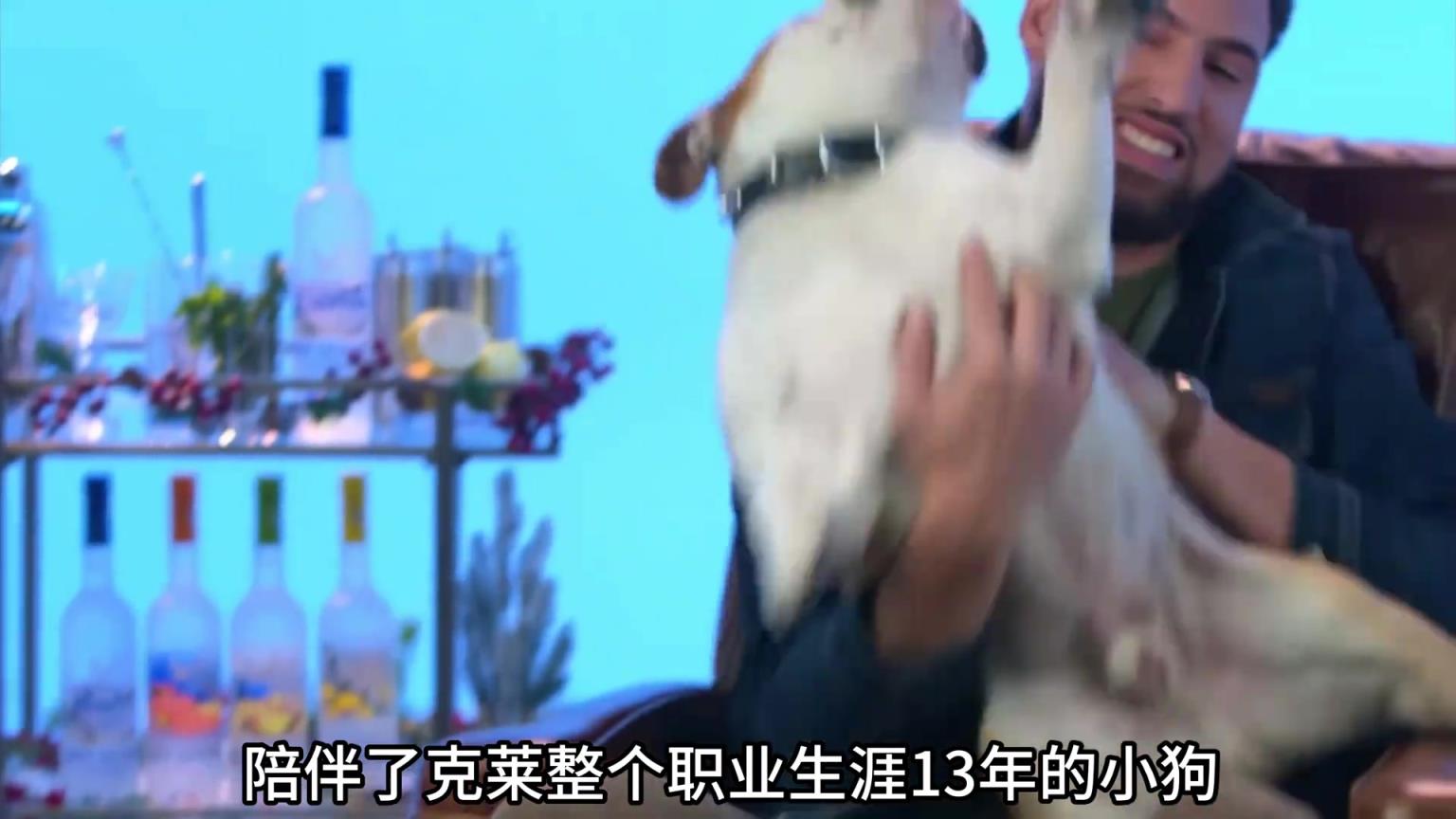 陪伴克萊13年的小狗去世了，不敢相信克萊得多么傷心